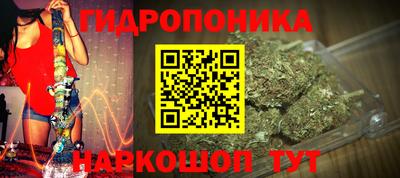 твердый Лесосибирск